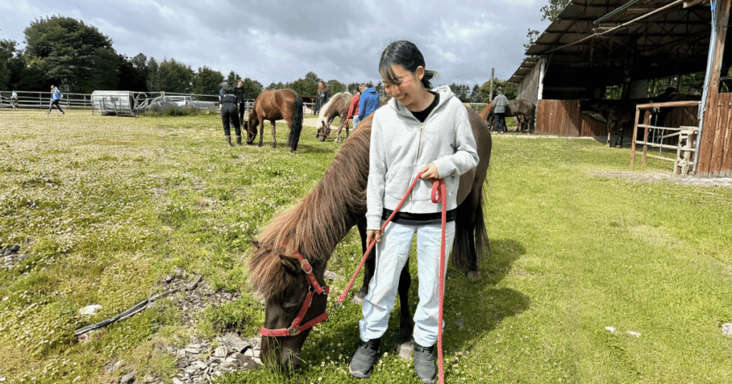 乗馬クラス